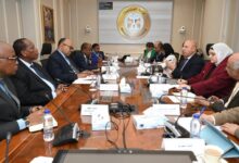 مصر وتنزانيا تبحثان إطلاق مشروعات استراتيجية مشتركة في قطاعي النقل والصناعة