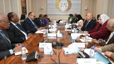 مصر وتنزانيا تبحثان إطلاق مشروعات استراتيجية مشتركة في قطاعي النقل والصناعة