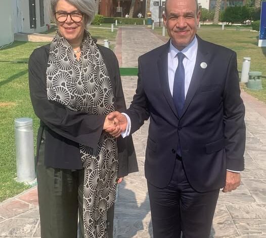 وزير الخارجية يبحث مع مبعوثة الاتحاد الأوروبي تعزيز العلاقات والاستقرار في القرن الأفريقي وزير الخارجية يبحث مع مبعوثة الاتحاد الأوروبي تعزيز العلاقات والاستقرار في القرن الأفريقي