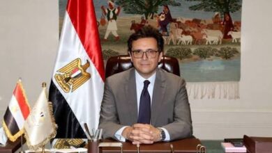 الثقافة تعلن اختيار شمال سيناء عاصمة للثقافة المصرية 2026