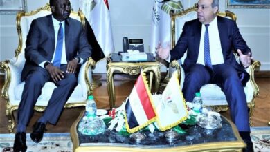 مصر تستهدف زيادة مشاركة القطاع الخاص في مشروعات الطيران المدني