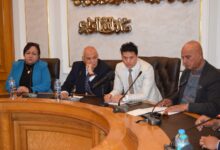 “غرفة القاهرة التجارية” تطرح 4 خطوات لدعم صناعة الدواجن