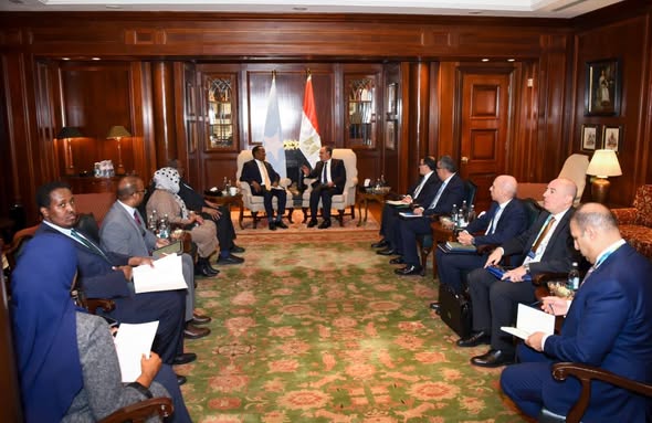 مباحثات مصرية صومالية حول سبل تعزيز الشراكة ودعم الأمن والاستقرار