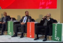 Ahmed El Sebai: Public–Private–Banking Collaboration Is Key to Boosting Exports to Africa