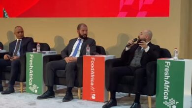 Ahmed El Sebai: Public–Private–Banking Collaboration Is Key to Boosting Exports to Africa Ahmed El Sebai: Public–Private–Banking Collaboration Is Key to Boosting Exports to Africa