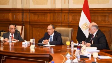 وزير الخارجية: مصر تتقدم في حقوق الإنسان بفضل القيادة السياسية