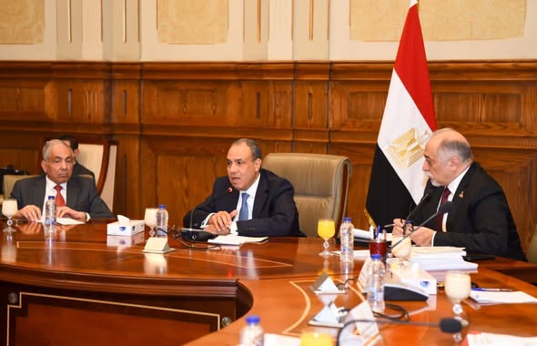 وزير الخارجية: مصر تتقدم في حقوق الإنسان بفضل القيادة السياسية