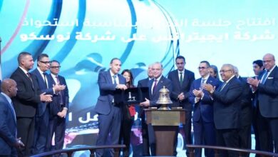 الرقابة المالية: “صفقة “إيجيترانس” و”نوسكو” تبرز دور البورصة في دعم الاقتصاد المصري