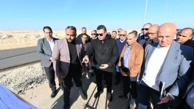 الشربيني يختتم جولته بتفقد مشروع محور سفنكس