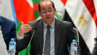 وزير المالية: القطاع الخاص المصري والعربي قادر على إحداث نقلة اقتصادية كبيرة