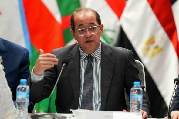 وزير المالية: القطاع الخاص المصري والعربي قادر على إحداث نقلة اقتصادية كبيرة