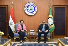 محافظ الدقهلية: انخفاض معدل الإنجاب الكلي بالمحافظة إلى 1.99 نسمة