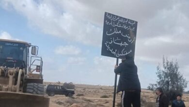 جهاز سفنكس الجديدة يسترد 188 فدانًا بالقطاع الأول