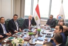 وزير الصحة يبحث التعاون المشترك مع شركات عالمية في مشروع مدينة النيل الطبية