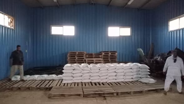  الزراعة: توزيع 100 طن تقاوي شعير و33 ألف شتلة زيتون “بالمجان” لدعم مزارعي سيدي براني والسلوم بمرسى مطروح