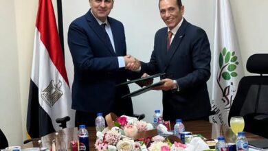 “تنمية الريف المصري”تطلق مشروعاً ضخماً لتوصيل الكهرباء بسهل المنيا الغربي بتكلفة 25 مليار جنيه