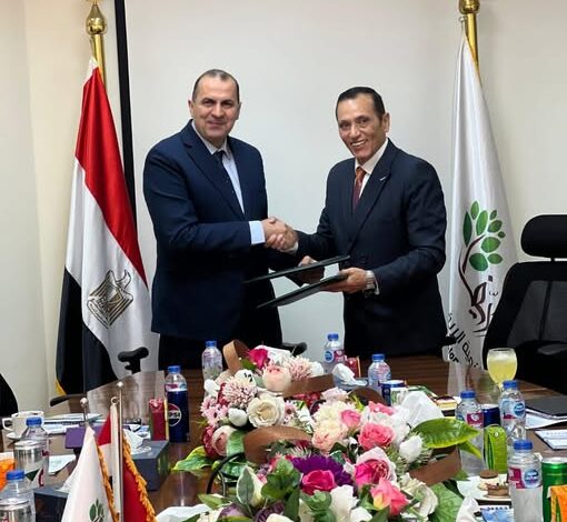 “تنمية الريف المصري”تطلق مشروعاً ضخماً لتوصيل الكهرباء بسهل المنيا الغربي بتكلفة 25 مليار جنيه