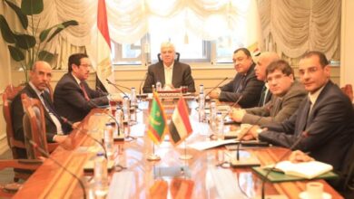 وزير التعليم العالي يبحث مع موريتانيا تعزيز التعاون في التعليم والبحث العلمي