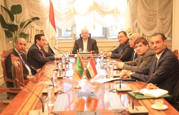 وزير التعليم العالي يبحث مع موريتانيا تعزيز التعاون في التعليم والبحث العلمي