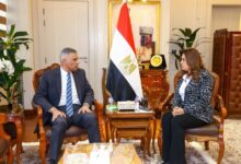 وزيرة التنمية المحلية تبحث مع محافظ أسوان تنفيذ مشروعات حياة كريمة والموجة 28 لإزالة التعديات