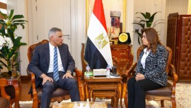 وزيرة التنمية المحلية تبحث مع محافظ أسوان تنفيذ مشروعات حياة كريمة والموجة 28 لإزالة التعديات