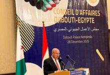 “مصر وجيبوتي” يعززان التعاون الصناعي والنقلي لدعم الاقتصاد