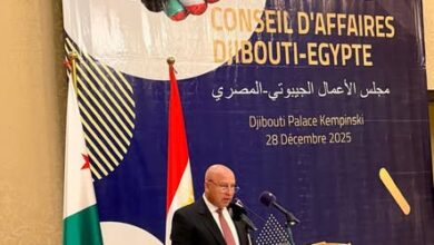 “مصر وجيبوتي” يعززان التعاون الصناعي والنقلي لدعم الاقتصاد