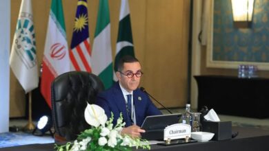 وزير الاستثمار يعلن اعتماد “إعلان القاهرة للتجارة”