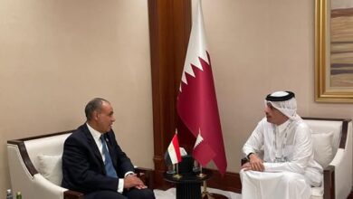 وزير الخارجية يبحث مع رئيس الوزراء القطري سبل دعم السلام في غزة وزير الخارجية يبحث مع رئيس الوزراء القطري سبل دعم السلام في غزة