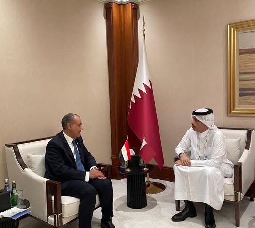 وزير الخارجية يبحث مع رئيس الوزراء القطري سبل دعم السلام في غزة