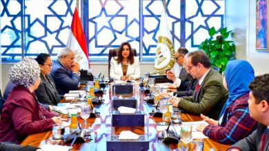 وزيرة التنمية المحلية تبحث مع منظمة “الفاو” التعاون في مشروعات البيئية المستدامة