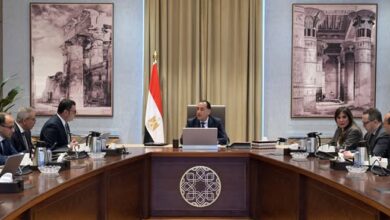 رئيس الوزراء يستعرض المخطط الهيكلي والرؤية التنموية لمنطقة “غرب رأس الحكمة”