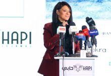 المشاط: 15 مليار دولار تمويلات ميسرة لدعم الشركات الكبرى والناشئة في مصر