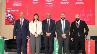 أحمد السباعي: الشراكة بين الحكومة والقطاع الخاص والبنوك بوابة مصر لتعزيز صادراتها الغذائية إلى أفريقيا