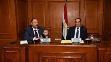 رئيس هيئة تنمية الصعيد يستعرض جهود وخطة عمل الهيئة أمام مجلس الشيوخ