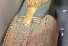 مصر تستعيد قطعتين أثريتين من بلجيكا