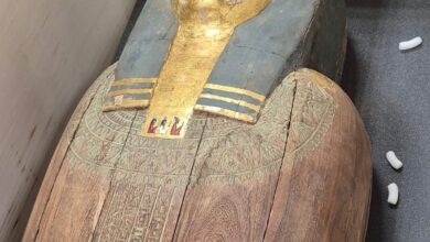 مصر تستعيد قطعتين أثريتين من بلجيكا