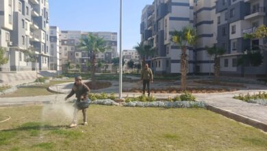 رئيس الجهاز يتابع المرافق والطرق والبنية التحتية لتحسين جودة الخدمات بالعبور الجديدة رئيس الجهاز يتابع المرافق والطرق والبنية التحتية لتحسين جودة الخدمات بالعبور الجديدة