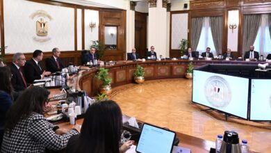 رئيس الوزراء: “منصة مصر العقارية” تُسهم في تيسير عملية تملك العقار سواء للمصريين المقيمين في الخارج أو للأجانب