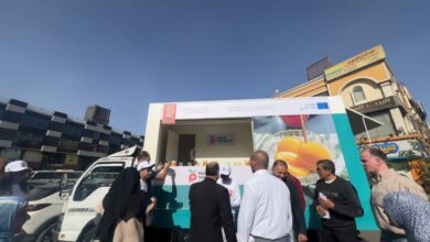 القاهرة تحتفي بالنجاح الكبير للجولة الترويجية لحملة “الترويج للخوخ عالي الجودة في الشرق الأوسط وشمال أفريقيا” لعام 2025 القاهرة تحتفي بالنجاح الكبير للجولة الترويجية لحملة “الترويج للخوخ عالي الجودة في الشرق الأوسط وشمال أفريقيا” لعام 2025