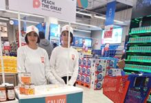 الاتحاد الأوروبي يروج للخوخ عالي الجودة في مصر ضمن حملة الشرق الأوسط وشمال أفريقيا