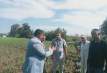 “الزراعة” تنفذ أكثر من 1800 نشاط إرشادي لخدمة 47 ألف مزارع ومربي خلال نوفمبر