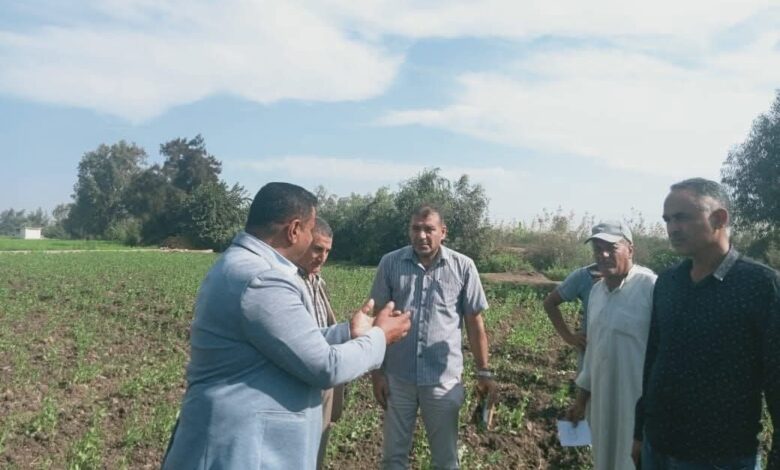 “الزراعة” تنفذ أكثر من 1800 نشاط إرشادي لخدمة 47 ألف مزارع ومربي خلال نوفمبر