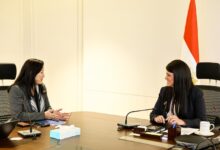 المشاط تبحث مع برنامج الأمم المتحدة الإنمائي تعزيز الشراكة وإعداد تقرير التنمية البشرية الجديد