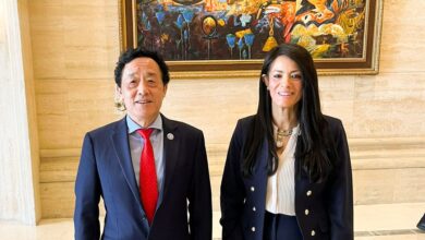 المشاط تبحث مع «الفاو» جهود تعزيز الأمن الغذائي المشاط تبحث مع «الفاو» جهود تعزيز الأمن الغذائي