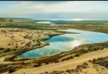 مشروع تأهيل بحيرة قارون يحقق تقدمًا كبيرًا… و85% تغطية للصرف المعالج قريبًا