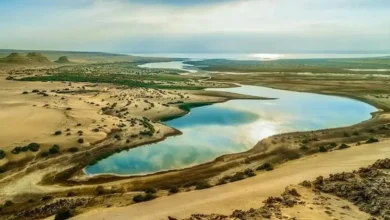 مشروع تأهيل بحيرة قارون يحقق تقدمًا كبيرًا… و85% تغطية للصرف المعالج قريبًا