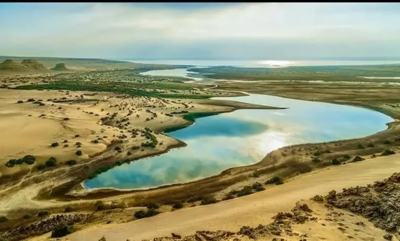 مشروع تأهيل بحيرة قارون يحقق تقدمًا كبيرًا… و85% تغطية للصرف المعالج قريبًا