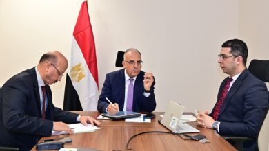 مصر تنفذ مشروعات تنموية بقيمة 100 مليون دولار فى دول حوض النيل