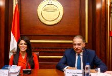 رانيا المشاط تستعرض رؤية وزارة التخطيط في أول لقاء مع لجنة الشئون الخارجية بمجلس الشيوخ